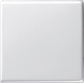 Cover plate for switch/push button - 