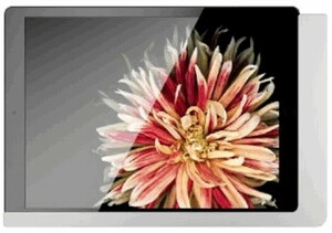 FREE FRAME  iPad Pro 12.9  SuperSilver, Ref. 510100